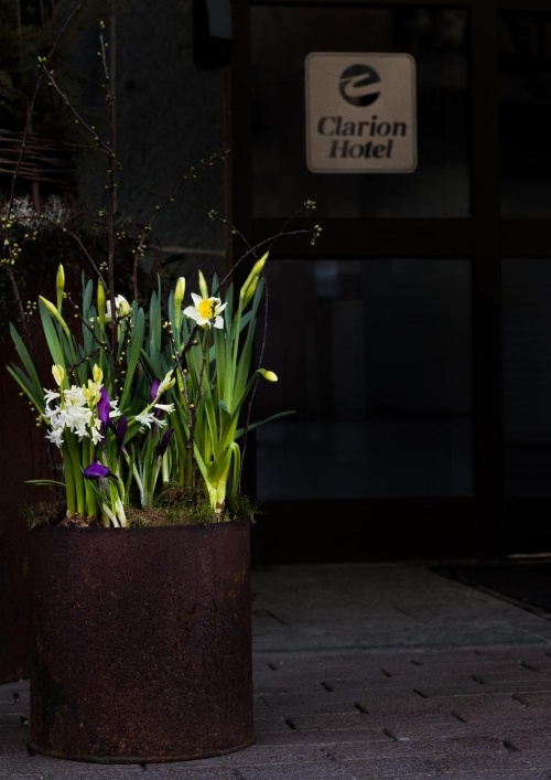 Clarion Hotel Winn image 9